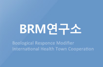 BRM연구소