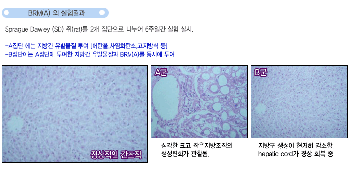 BRM(A)의 실험결과