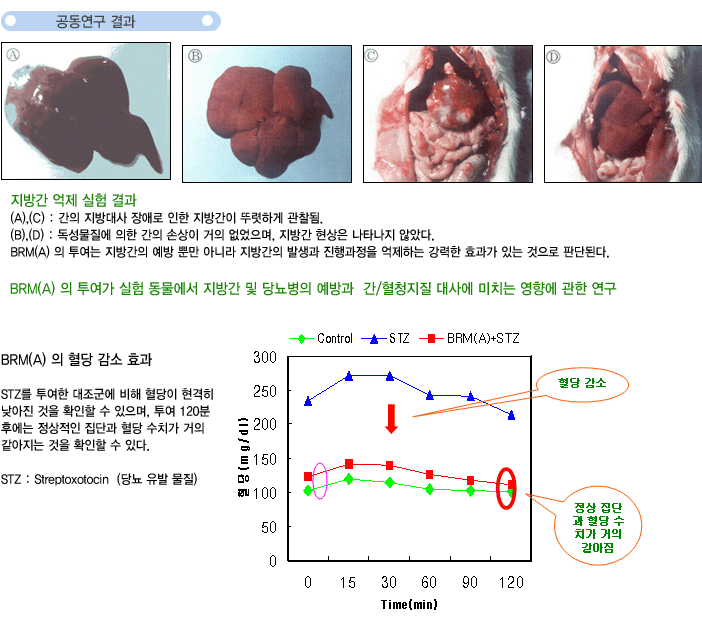 공동연구 결과