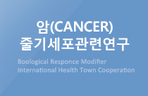 암(CANCER) 줄기세포관련연구