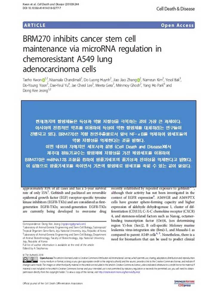 BRM 270 inhibits cancer stem cell maintenance via microRNA regulation in chemoresistant A549 lung adenocarcinoma cells