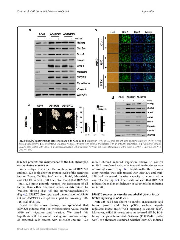 BRM 270 inhibits cancer stem cell maintenance via microRNA regulation in chemoresistant A549 lung adenocarcinoma cells