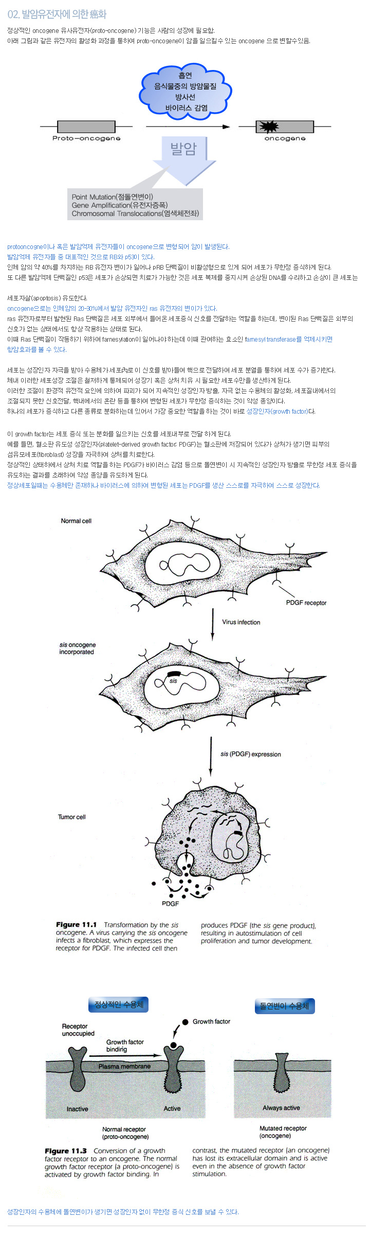 02. 발암유전자에 의한 진화