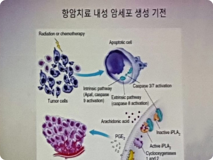 세미나 사진